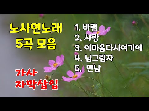바램,사랑,이마음다시여기에,님그림자,만남/노사연노래5곡 모음