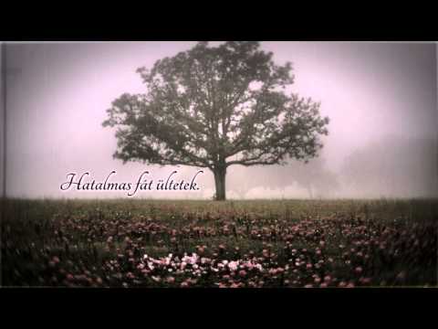 Téveszme: A Szoba - szöveges videó (unofficial)