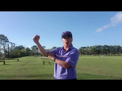 Manuel de la Torre definition of the Golf Swing