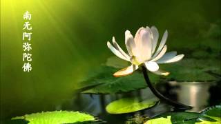 ♫ 南无阿弥陀佛 ♫