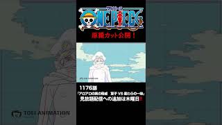 アニメ「#ONEPIECE」見放題配信への追加は木曜日‼️1176話‼️ #onepiece #原撮