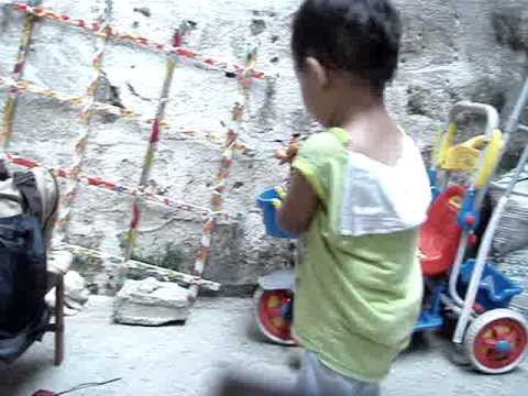 natot & ashnie's puppies