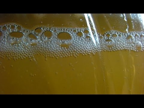 "Cyser" (apple cider-mead) Fermenting in Jug
