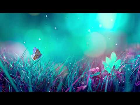 Liquid Funk/Drum & Bass/Experimental  Stipe-X - Majestic