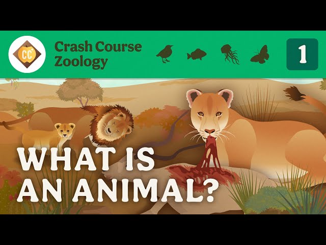Video Uitspraak van zoology in Engels