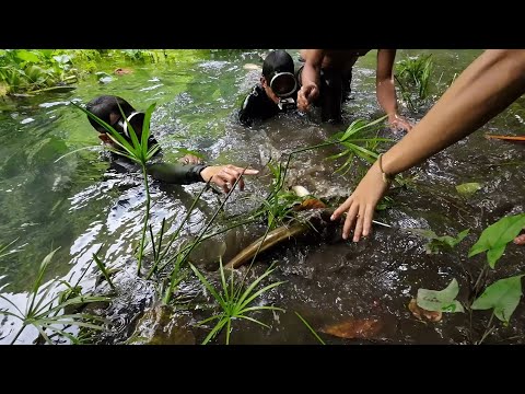 SE03EP181 Part 2 - PAG TAPOS ng PALOS mga DALAG naman ang NAMAHAY | Catch & Cook - San Pablo City, L