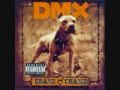 dmx dogs out 