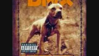 dmx dogs out