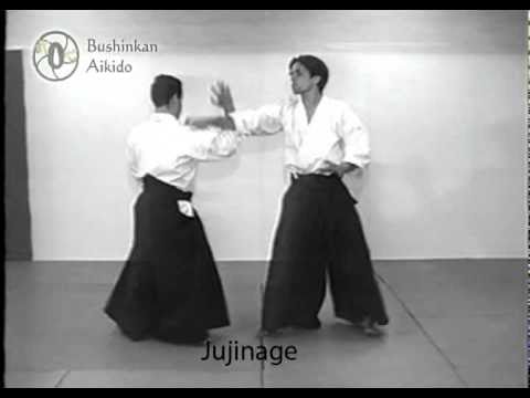 Aikido  Bushinkan Aikido - Jujinage