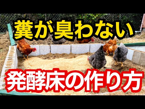 , title : '【超簡単】にわとりが喜ぶ発酵床の作り方'