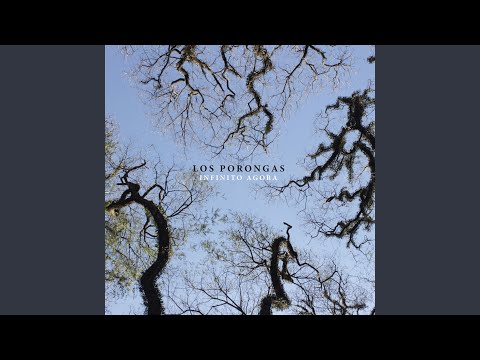 Confira a parceria musical entre Dado Villa-Lobos e a banda acreana Los Porongas