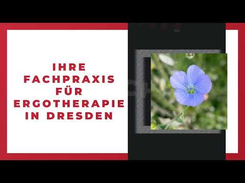 Ergotherapeutische Praxis Sylvia Murati YouTube-Vdeominiatur 2