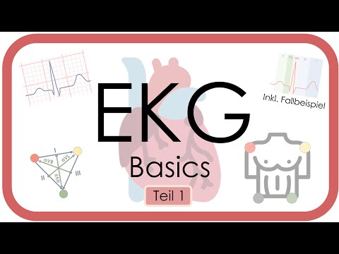 ECG Basics - Step by Step - Fundamentals (Einthoven, Rate, Axis, P Wave, QRS) ECG Course