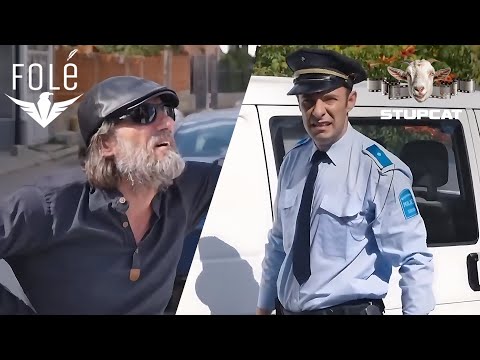 STUPCAT - GIPA DHE MANGUPI