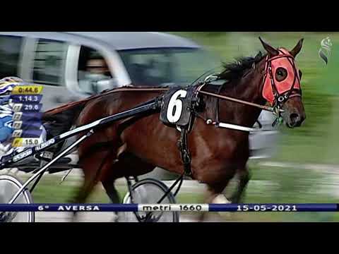 Aversa trotto 15 Maggio 2021 - 6° Corsa