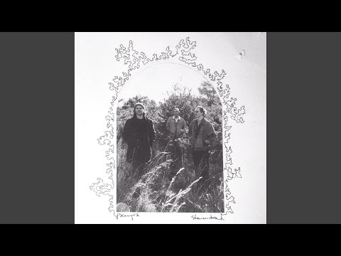 Saratoga - Palmyra