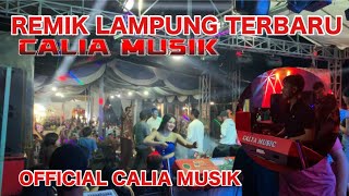 Download lagu CALIA MUSIK LIVE JABUNG || MUSIK REMIX LAMPUNG TERBARU  mp3