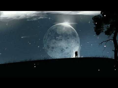 BM LYRICS - DJ Takut Ketare || Chirut Ardhika - Cover DJ