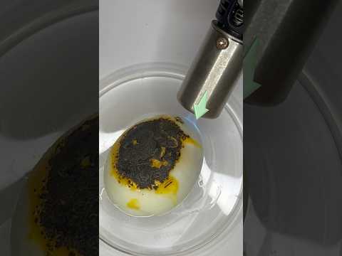 Watch what nitric acid does to “skin” #experiment #chemistry #shorts