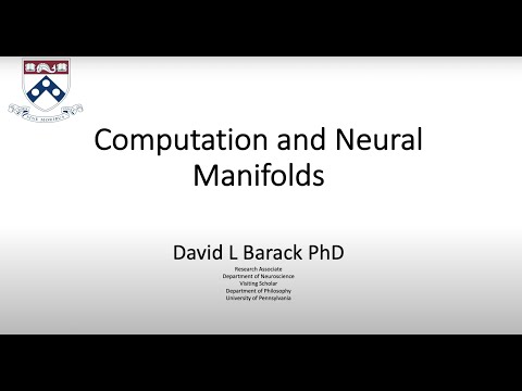 Computation and Neural Manifolds