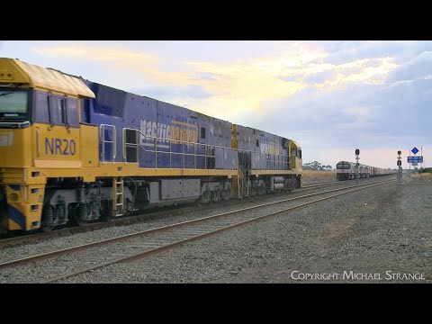 SCT 3AM9 Mixed Freight Train Crossed By Pacific National 3MA5 (14/3/2023) - PoathTV Railways
