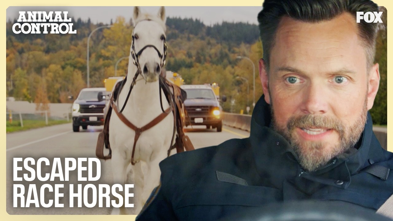 The Precinct Gets Into An INTENSE Pursuit With A White Bronco Named OJ | Animal Control