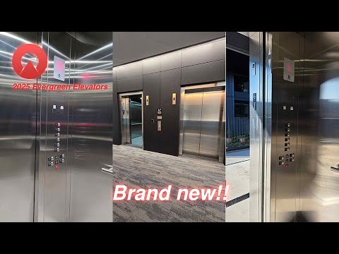 BRAND NEW 2024 Schindler 5500 MRL Traction Elevators | Terminal 1 | Vancouver, WA.