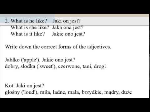 Polish for beginners. Lesson 12. Short exercises + jaki, jaka jakie