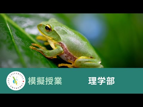 横浜市立大学 ONLINE オープンキャンパス 2024 | 模擬授業 | 理学部：カエルおよび胚性幹細胞を用いた細胞分化