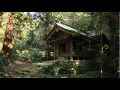 The sacred Island of Okinoshima 1/2(English) - munakatakao The sacred Island of Okinoshima 1/2(English)