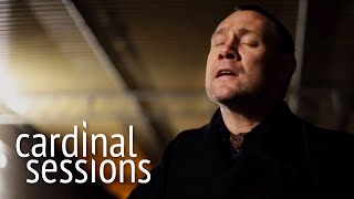 David Gray - Accumulates - CARDINAL SESSIONS