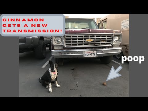 Mini Garage! How to: LS style 4L60E to Small Block Chevy 350 part 1