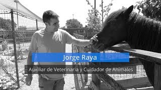 Jorge ha montado un núcleo zoológico Jorge ha montado un núcleo zoológico
