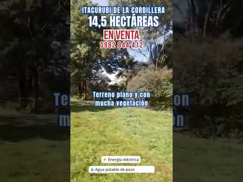 En venta 14,5 hectáreas en Itacurubi de la Cordillera