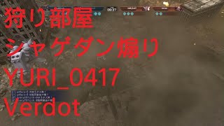 今日のバトオペ晒しは2人