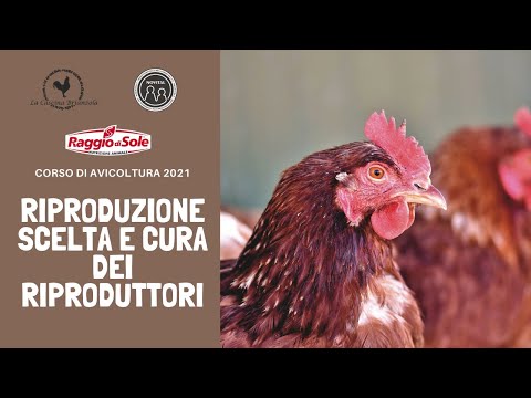 , title : 'Corso avicoltura 2021 - Riproduzione'