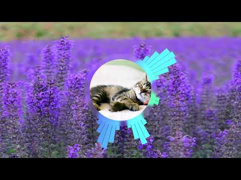 Slider & Magnit feat. Марсель - Полетели В Небеса (Official Video) (Полетели в небеса meme song)