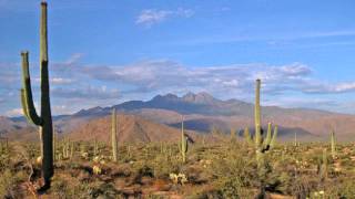 Closer to You ~ Daniel Mark Rich