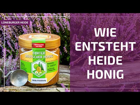 So entsteht Heide Honig. Spannender Blick hinter die Kulissen der Heide-Honig-Produktion (Doku)
