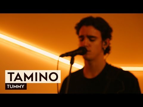 THE TUNNEL: Tamino - Tummy (live)