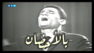 Abdel Halim Hafez - Belahdan عبد الحليم حافظ - بالاحضان يابلادنا ياحلوه بالاحضان