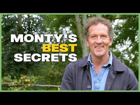 How To Revive Your Backyard with Monty Don | Season 4 | Full Episodes | Gardeners' World