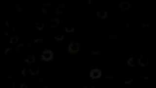 Dorothy - Raise Hell (Lyrics)