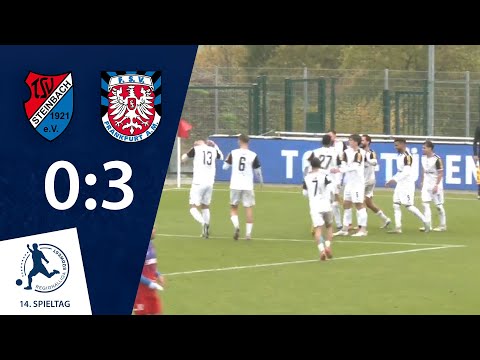 Frankfurt effizient | TSV Steinbach Haiger - FSV Frankfurt | 14. Spieltag RLSW