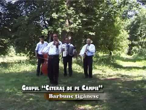 grupul ceterasi de pe campie