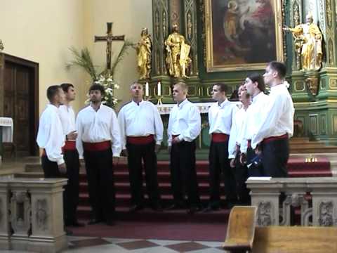 Klapa Tragos - Plavi putevi mora