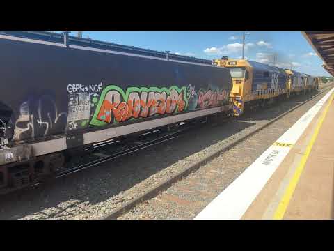 4K Pacific National Wheat Train With Locos 8228-8116-8162-8138