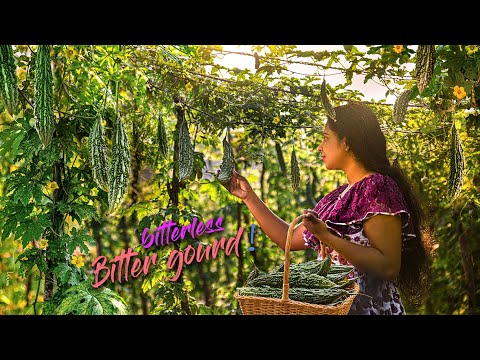 Delicious curry! Who would say "NO" to bitter gourd, if those cooked like this! | Traditional Me