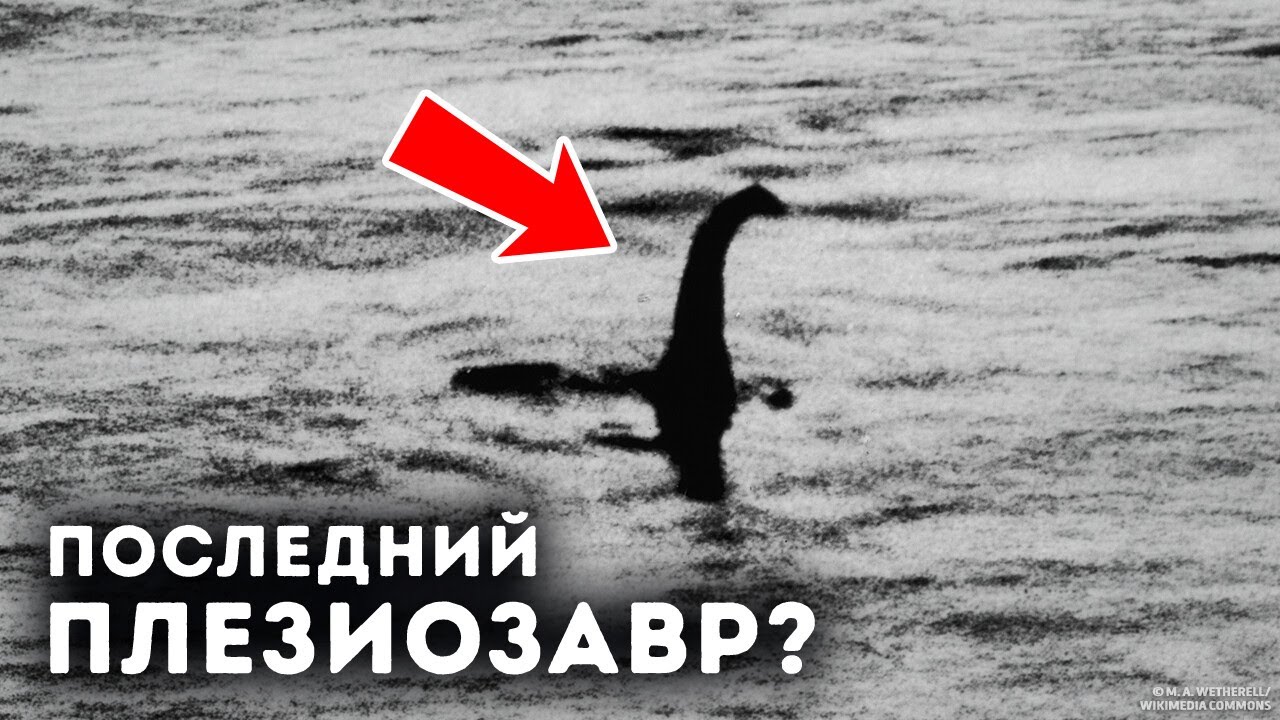 Ученые наконец-то разгадали тайну Лох-Несса