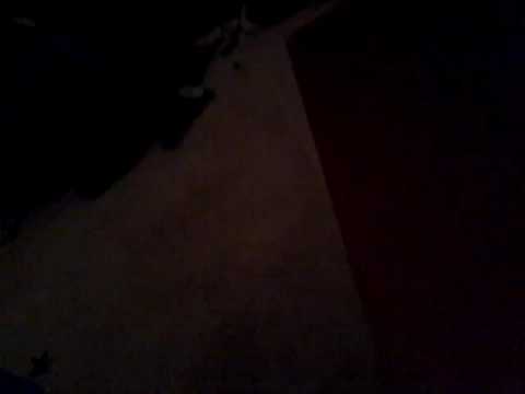 Battle bots ( season 2 extinction rumble )